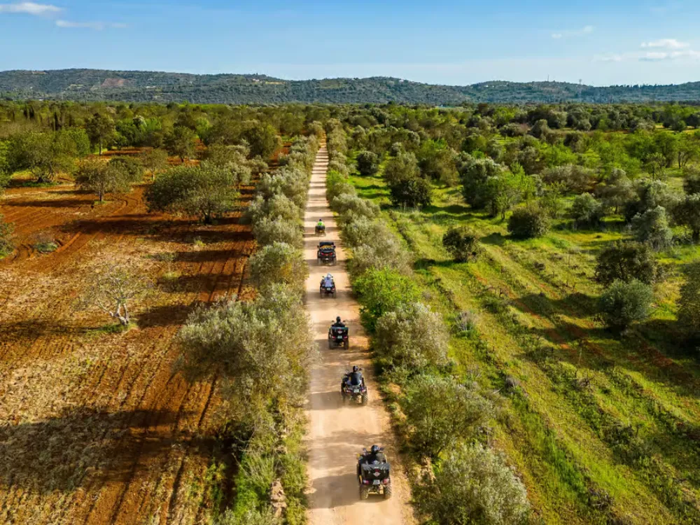 Scenic hills and farmland in the Algarve's interior