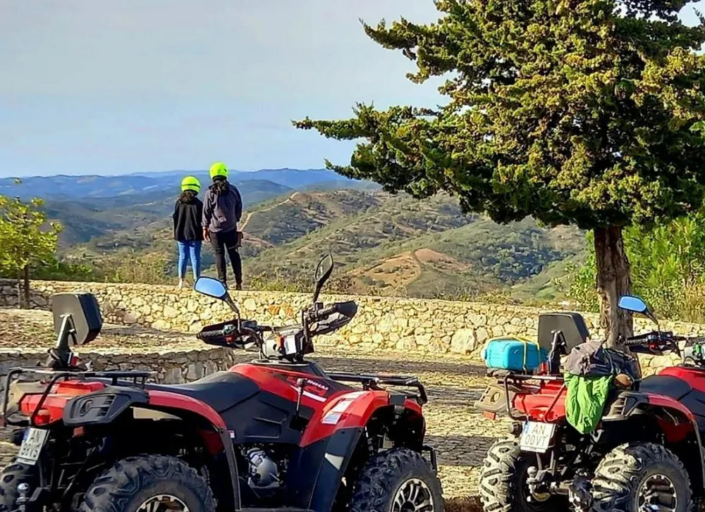 Kleine Gruppe von Quads zwischen Orangen- und Olivenhainen